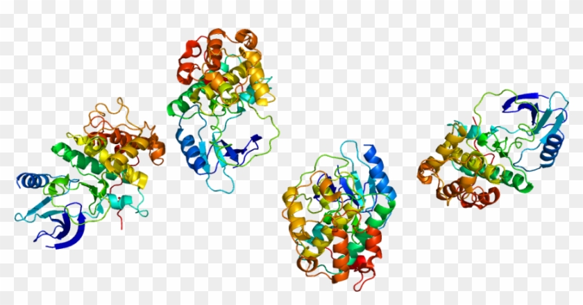 Cyclin Dependent Kinase 7 Pipeline Review H2 2017- - Cyclin-dependent Kinase 7 #1055978