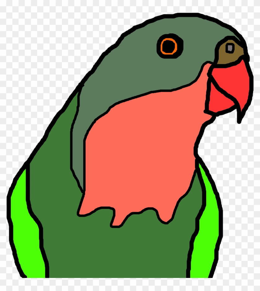 11569367 - Parakeet #1056460