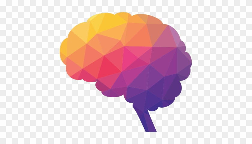 Learn More Here - Psychology For Cambridge International As And A Level #1057005