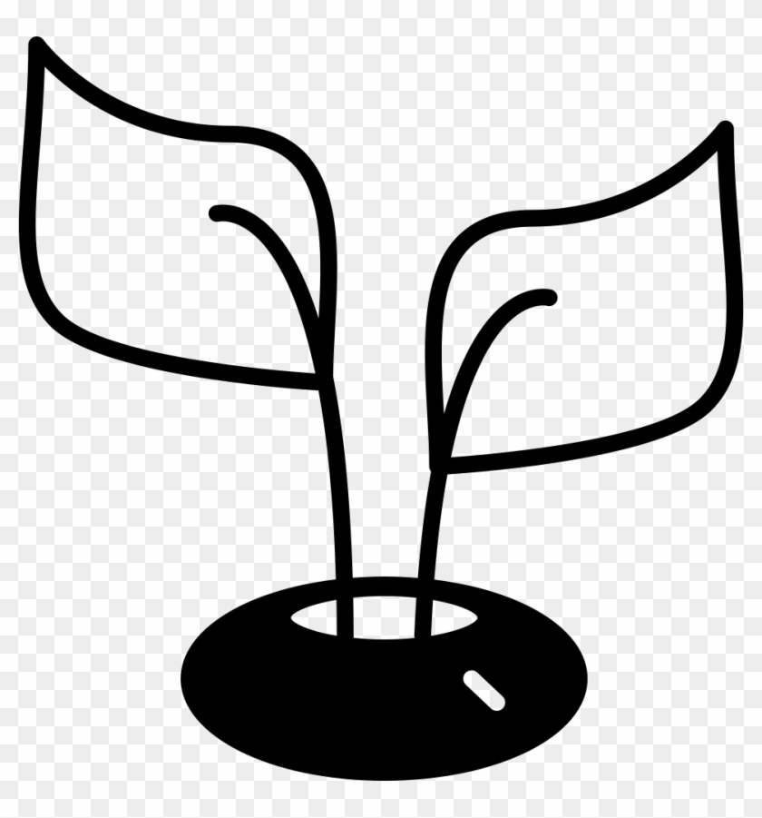 Plant Leaves In A Jar Comments - Scalable Vector Graphics #1058271