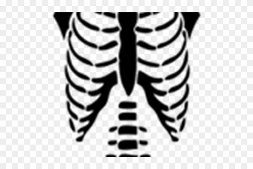 Skeleton Clipart Torso - T Shirts For Roblox #1058318