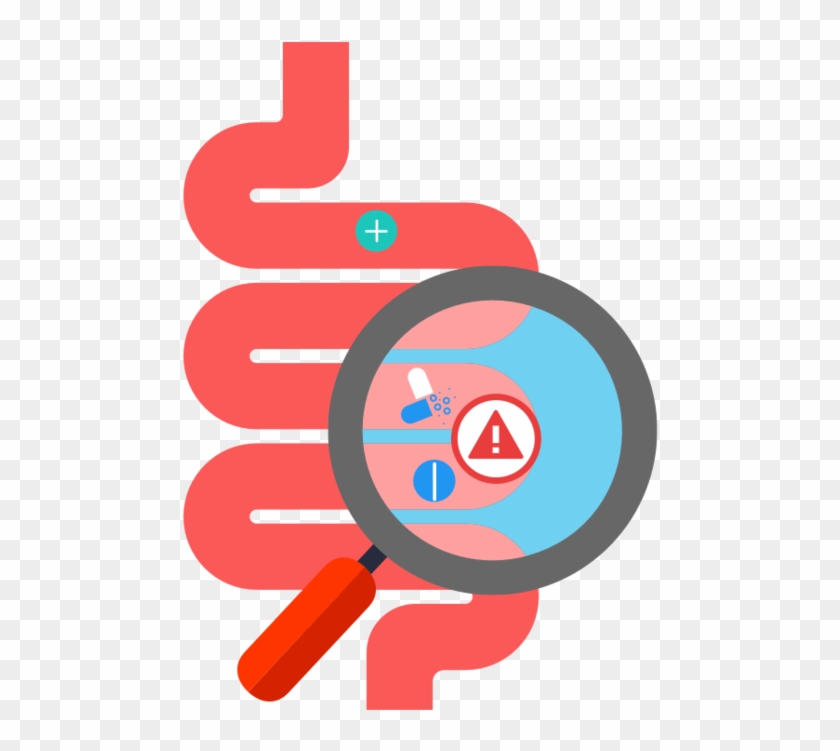 Drugs Interacting In Stomach - Digestive Tract Vector #1058596