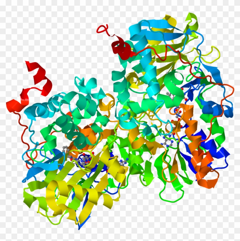 Monoamine Oxidase Inhibitors: Clinical Pharmacology, #1058629