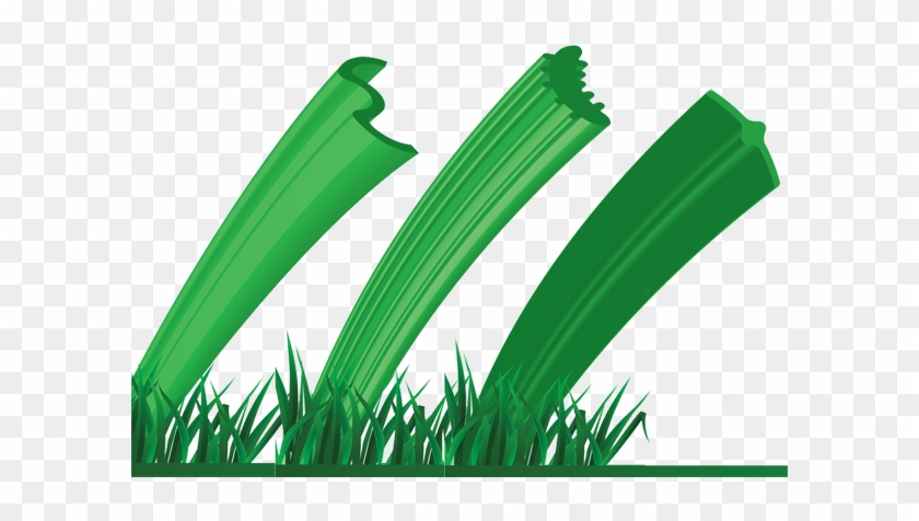 A Series Of Tests In A Controlled Environment Have - Sweet Grass #1059320
