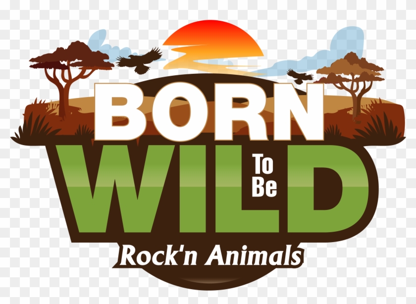 Animal Tales - Crawfordville #1060085