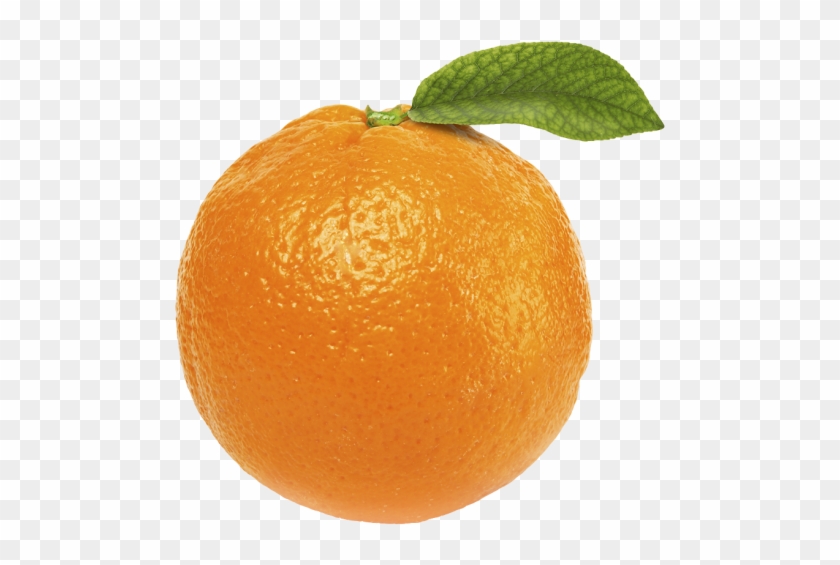 Free Orange Fruit Png - Orange With No Background #1060223