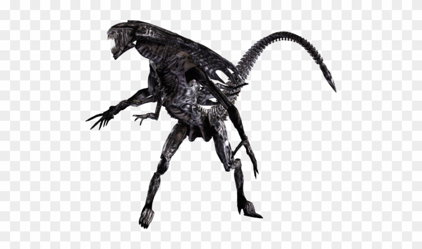 Alien Queen - Xenomorph Queen Png #1060697