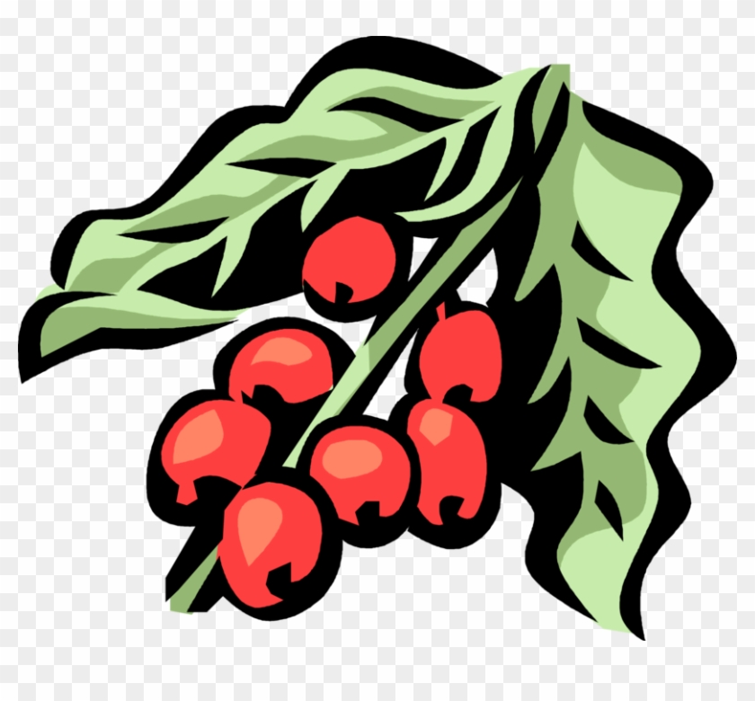 Vector Illustration Of Coffee Bean Seed Of The Coffee - Coffee #1061024