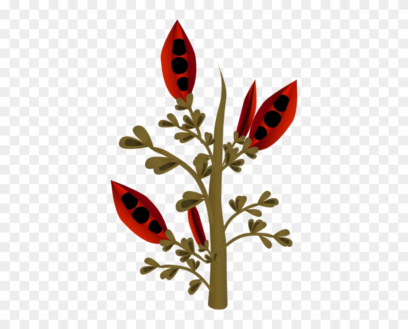 How - Flora #1061043