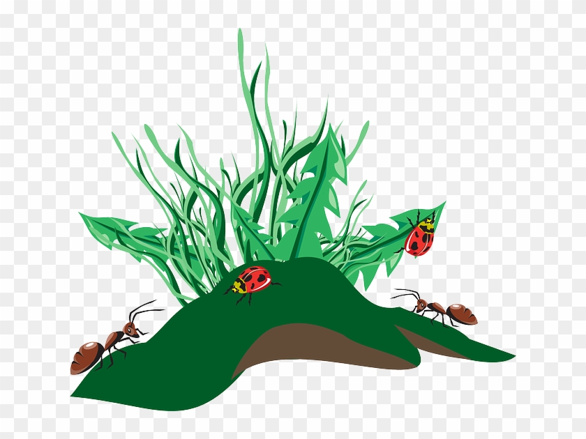 Ant Hill Clip Art - Unkraut Png #1061122