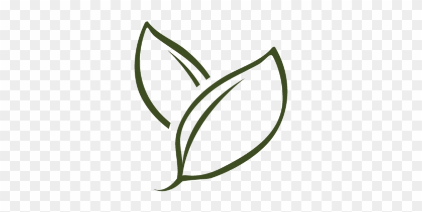 Natural Ingredients - Natural Ingredients #1061344
