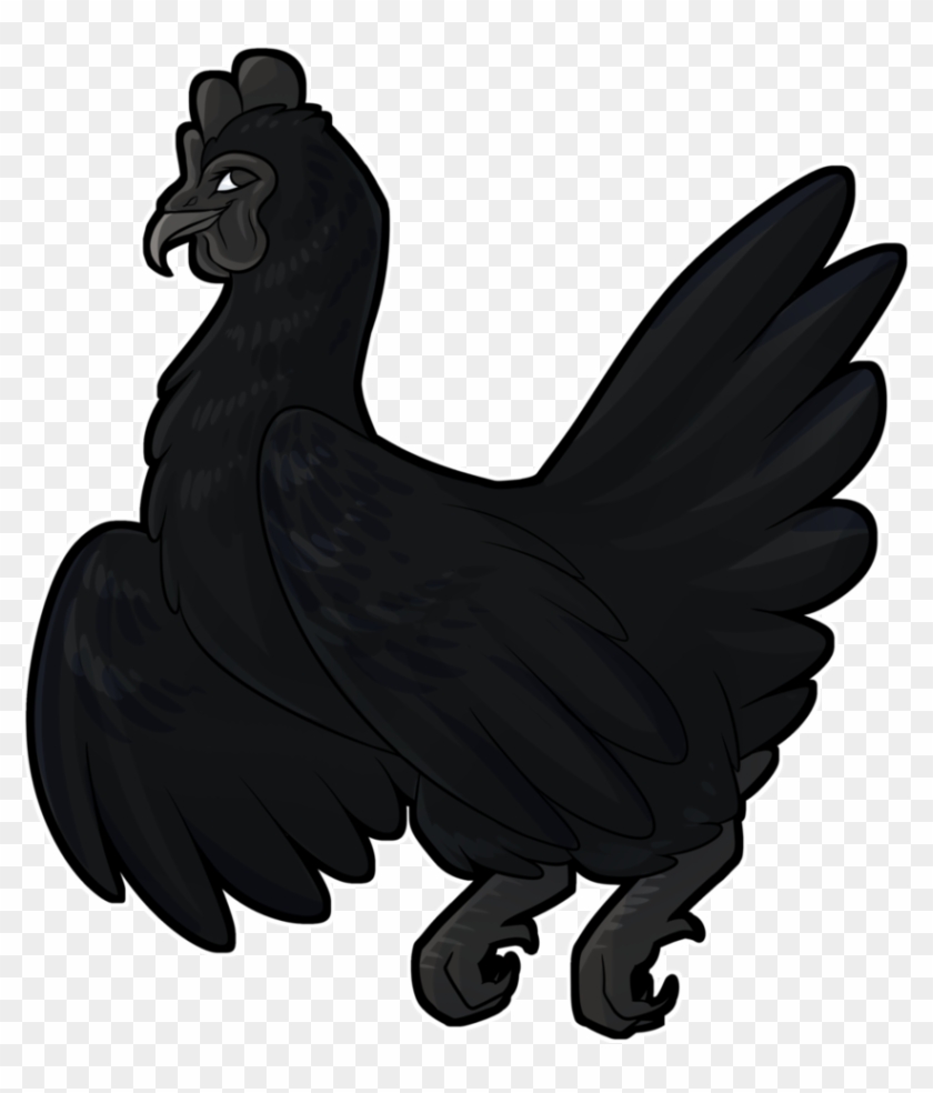 Ayam Cemani Chicken By Draikinator - Ayam Cemani #1062716
