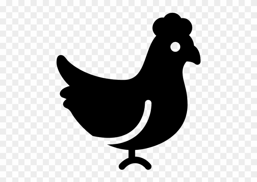 How To Do Multi Step Animation - Chicken #1062736