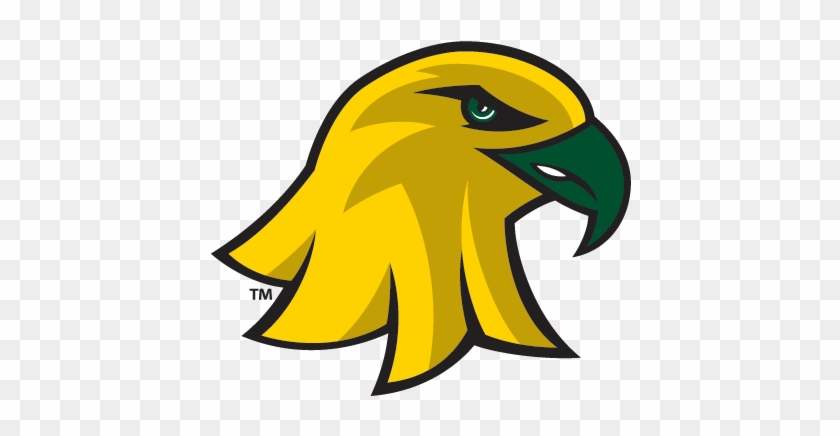 Brockport Golden Eagles Logo #1062959