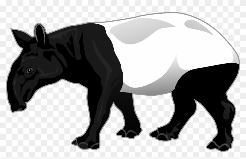 Tapir Clipart - Safari Ltd Wild Safari Wildlife Malayan Tapir #182484