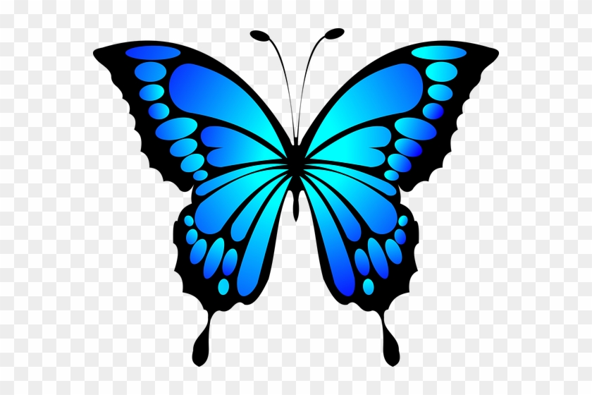 Butterfly Blue Insect Summer Wings Butterf - Blue Butterfly #183533