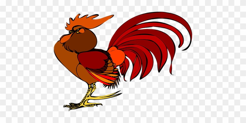 Rooster Chicken Bird Farm Barn Cockscomb P - Gallo Clipart #183699