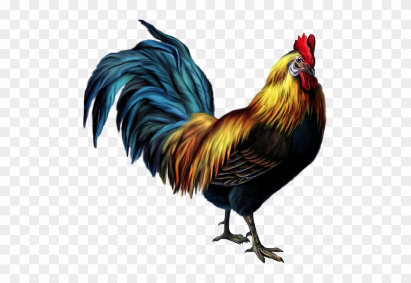 0 Edd08 Ec4858fc L - Rooster Images Clip Art #183759
