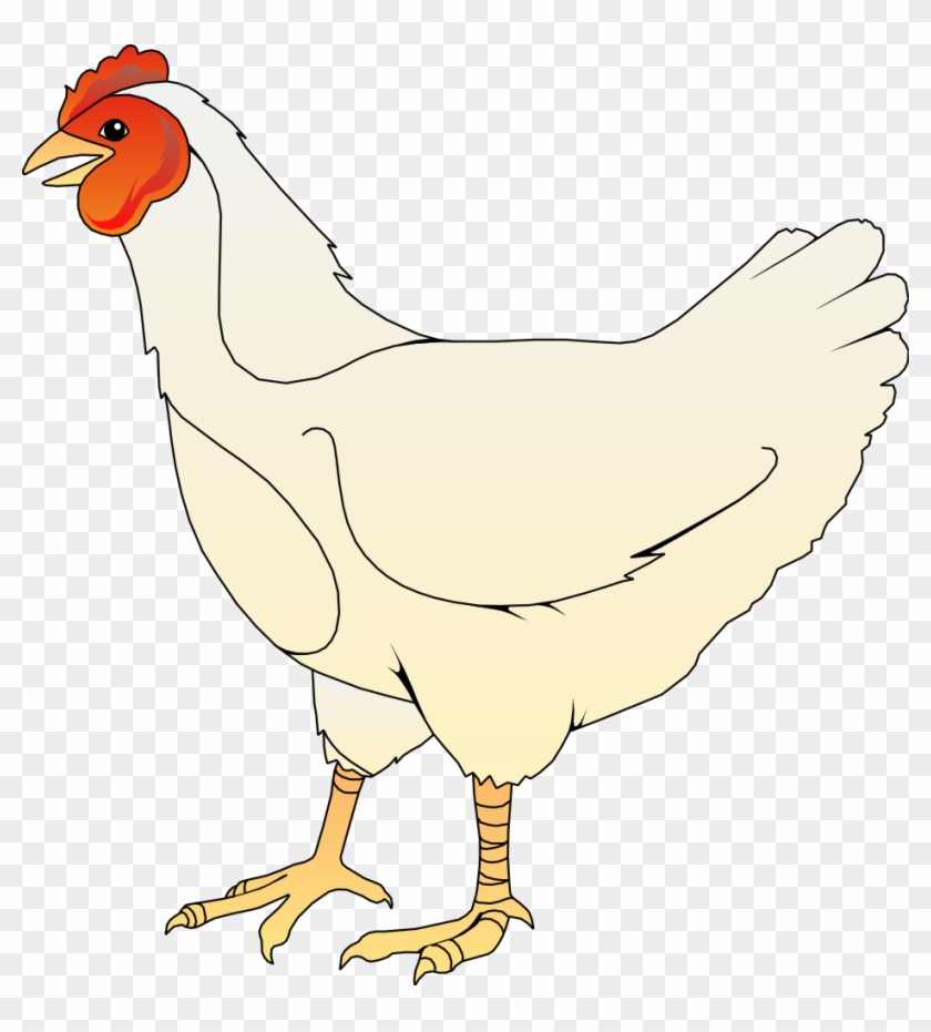 Bird 42 Free Vector - Chicken Shirt, Chicken Lady Shirt, Chicken Butt, Farm #184104