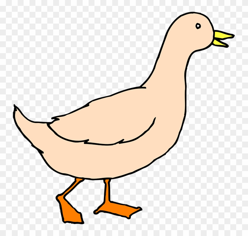 Duck Walking Clipart #184145