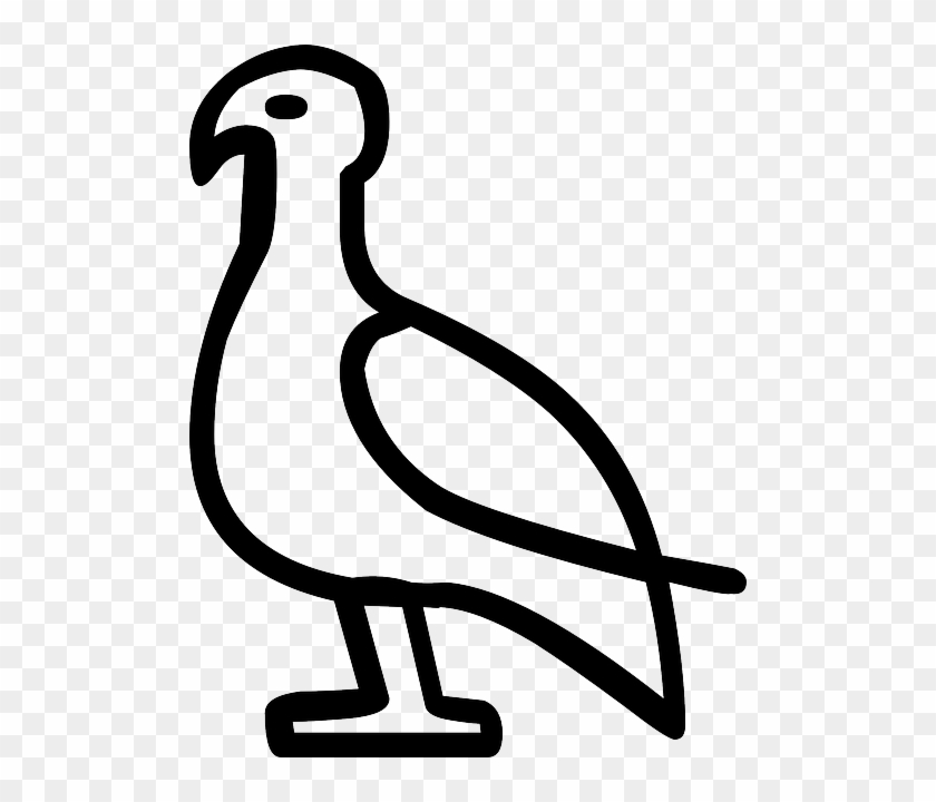 Drawing, Bird, Historic, Writing, Animal - Animal Glyphs #184195