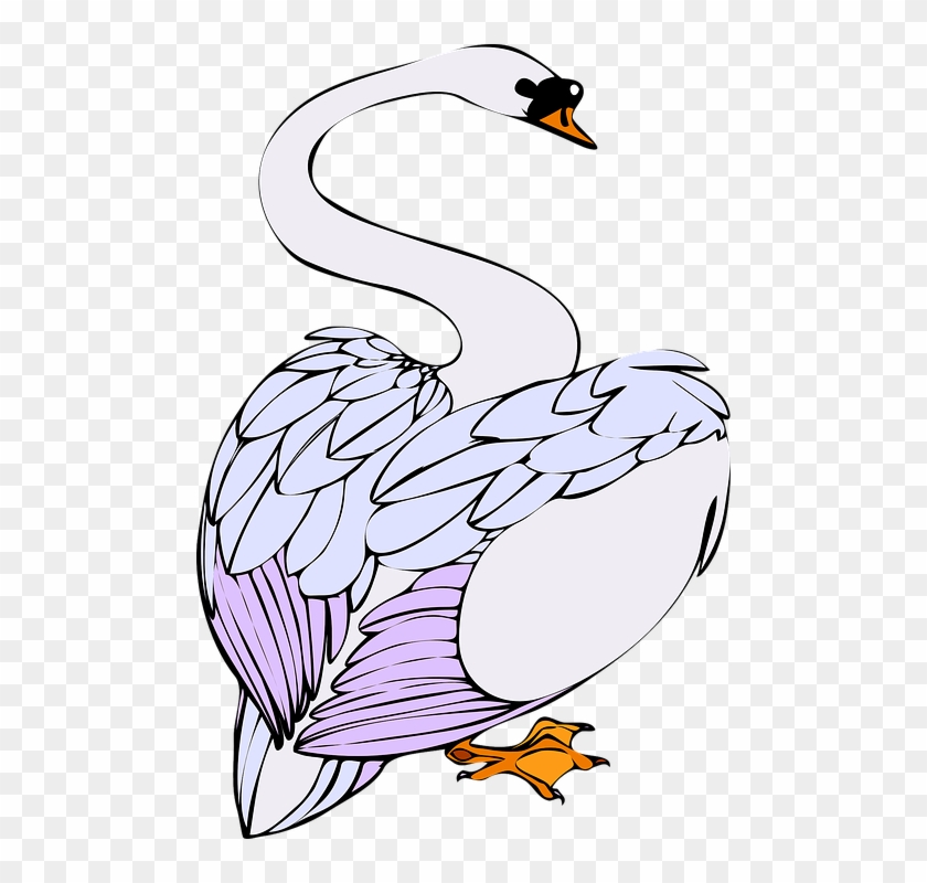 Romantic Swan, Bird, White, Animal, Water, Swim, Noble, - Swans Walking Clipart #184244