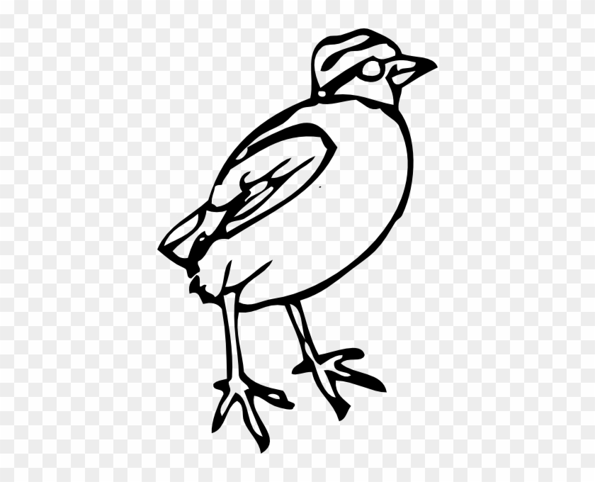 Bird Clipart #184253
