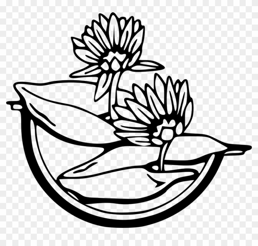 Water Black And White Free Vector Graphic Flowers Black - Water Lily Clip Art #184337