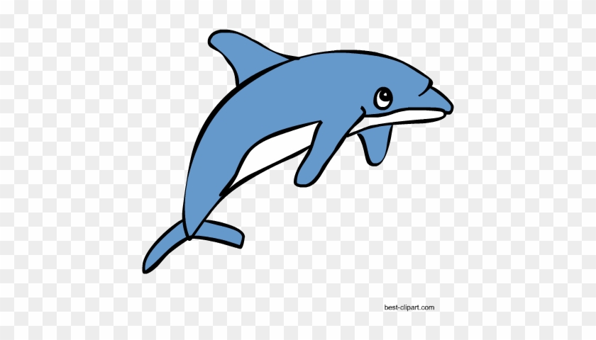 Free Dolphin Clipart Image - Free Dolphin Clipart Image #184553