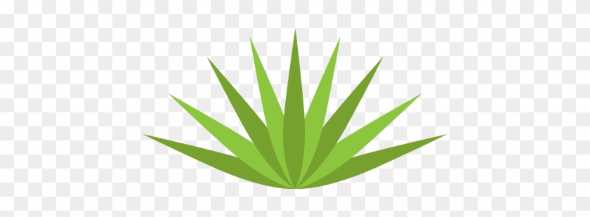 Agave Succulent Wall Decal - Agave #185454