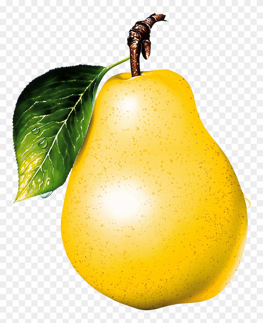 Pear Clipart Transparent - Pear Transparent Background #185650