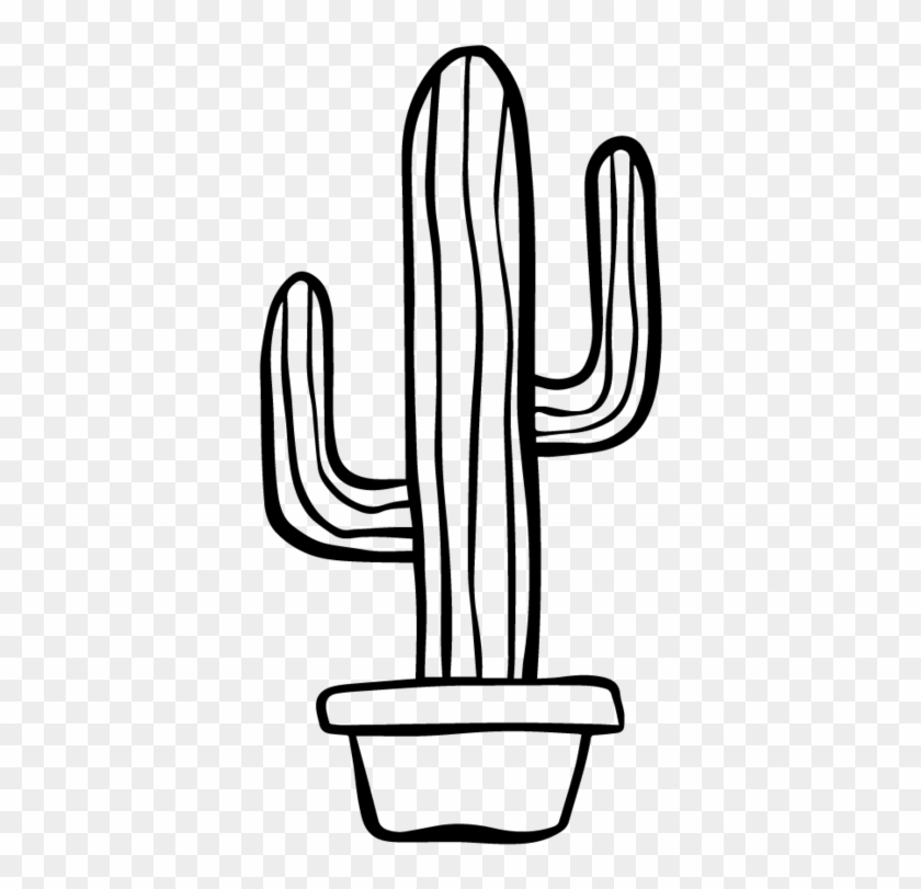 Cactus Black 6 - Cactus #185824