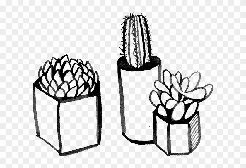 Cactii - Line Art #185879