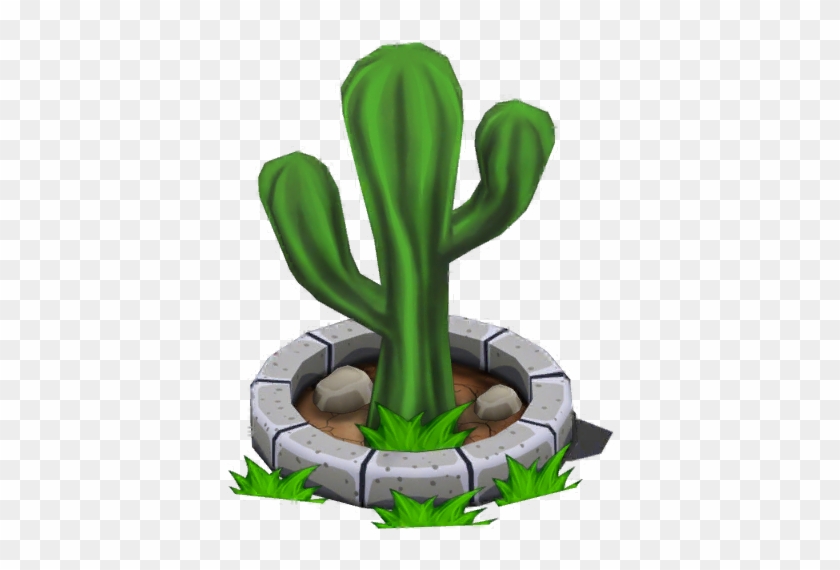 Cactus - Acanthocereus Tetragonus #1063964