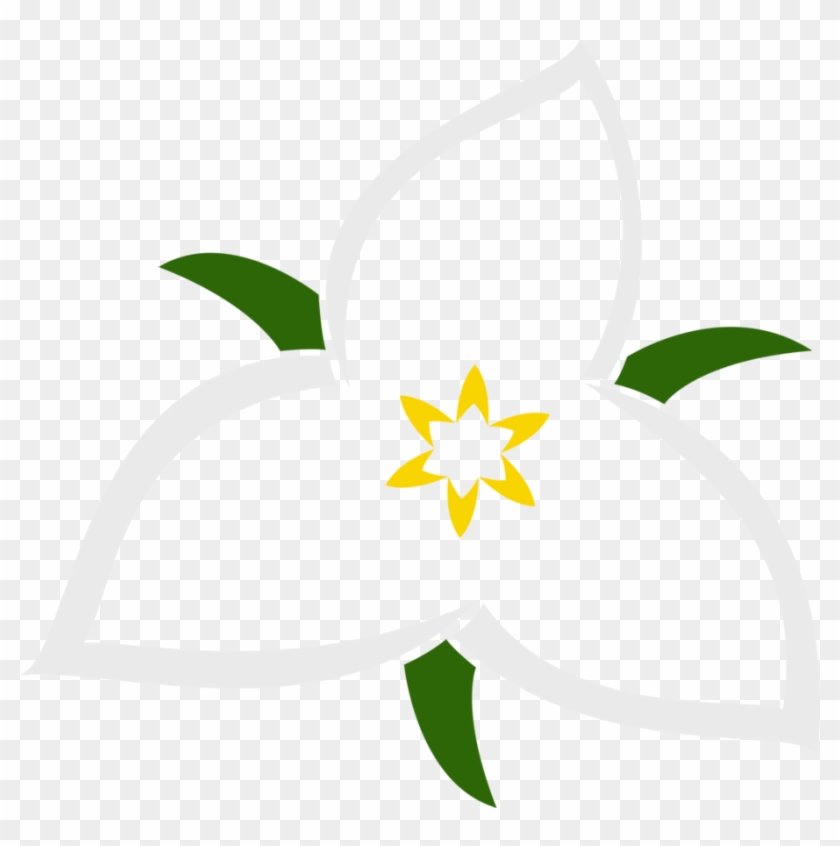 Trillium #1065314