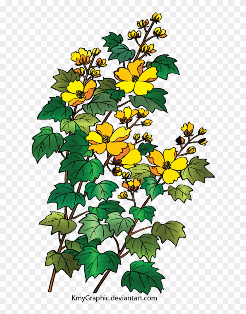 Flowers* By Kmygraphic - Flowers* By Kmygraphic #1065601