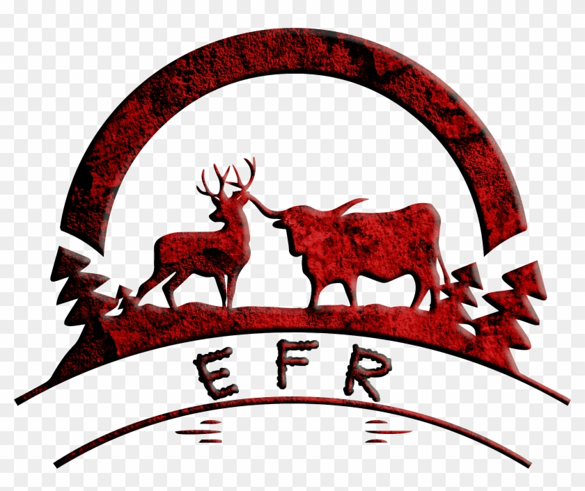 Elite Farm And Ranch - Elite Farm And Ranch -real Estate Agents #1066175