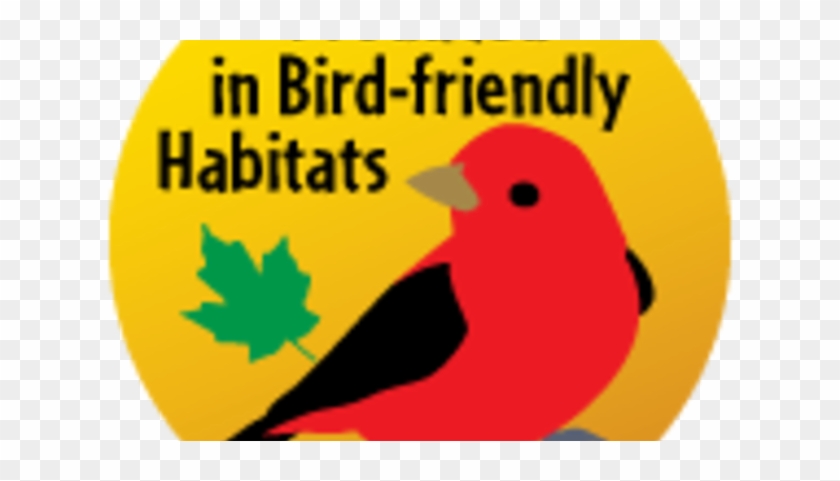 Maple Sugarbush Bird Walk - Maple Sugarbush Bird Walk #1066419