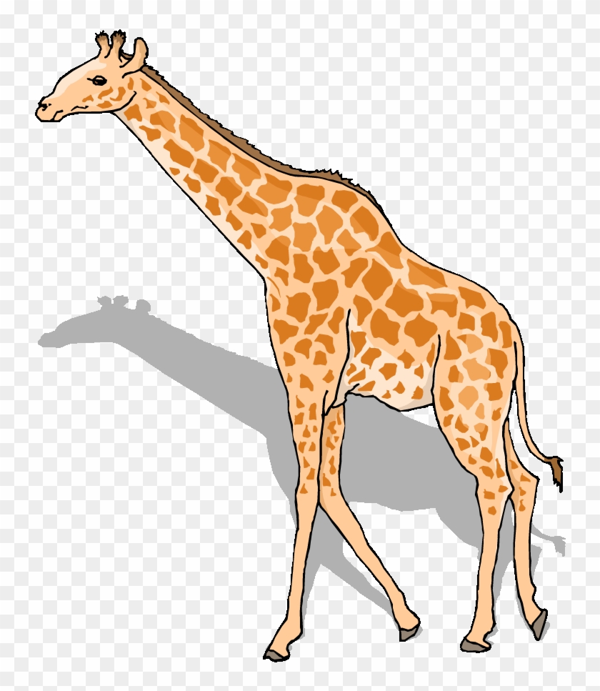 Free Giraffe Clipart - Giraffe Clipart #1066438