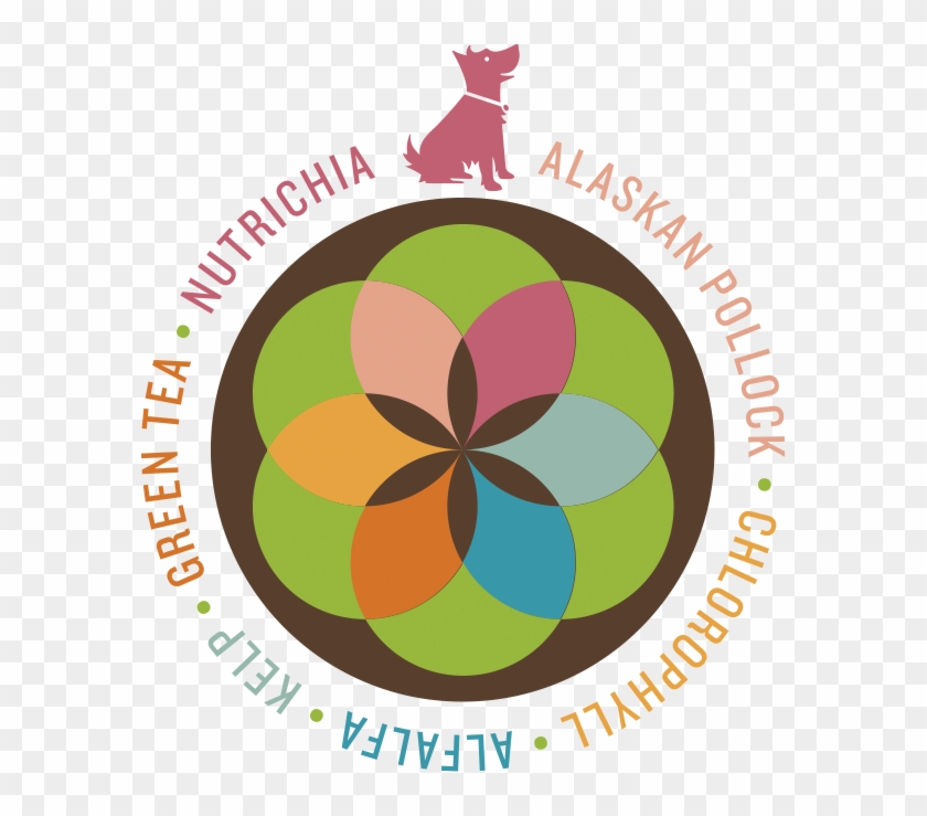 The Key To Our Green Bark Gummies® Is Nutrichia™ And - Circle #1066605
