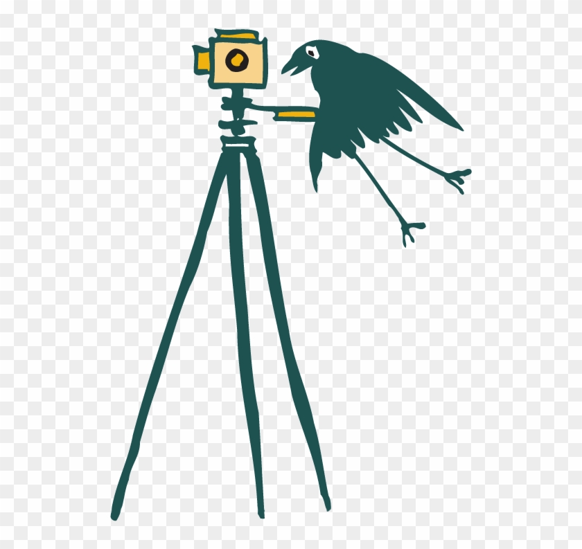 Photographer - Photographer #1066812