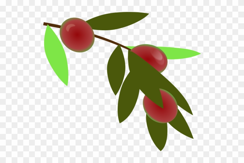 Get Notified Of Exclusive Freebies - Plant #1067063