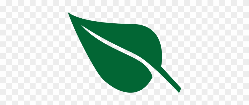 Hoja - Leaf #1068073