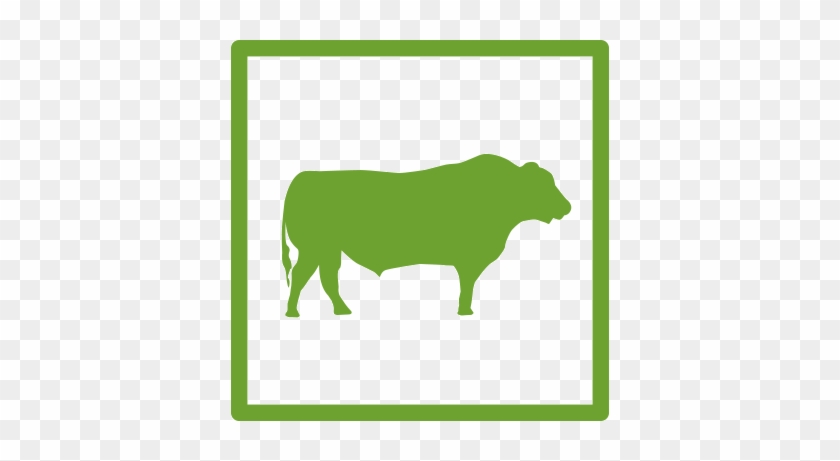 Straight From The Farm - Straight From The Farm #1068147