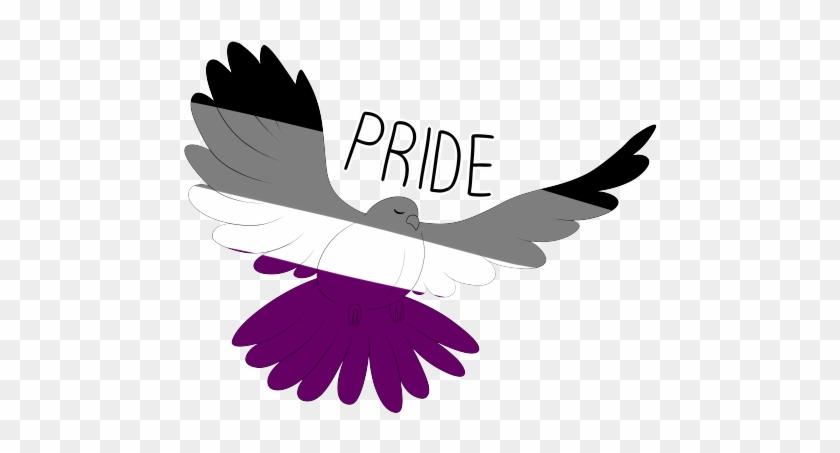 Lgbt Pride Shirt - Accipitridae #1068824