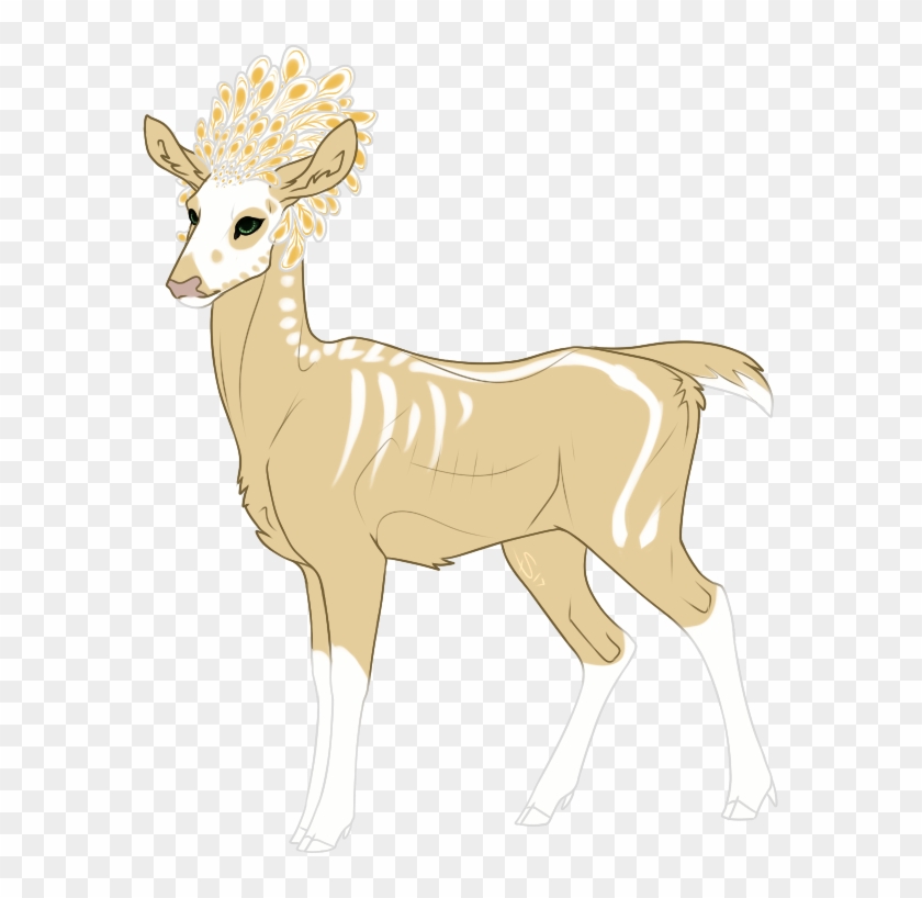 Deer #1069160