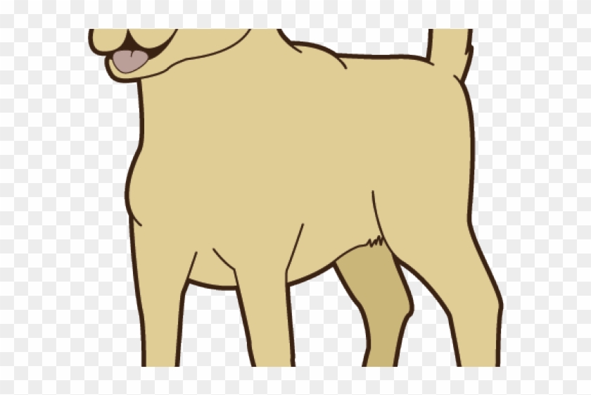 Labrador Clipart Transparent - Labrador Clipart Transparent #1069814
