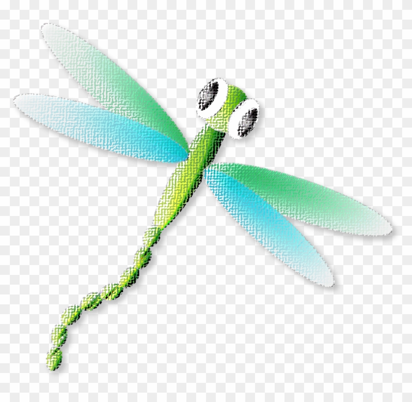 Damselfly #1069930