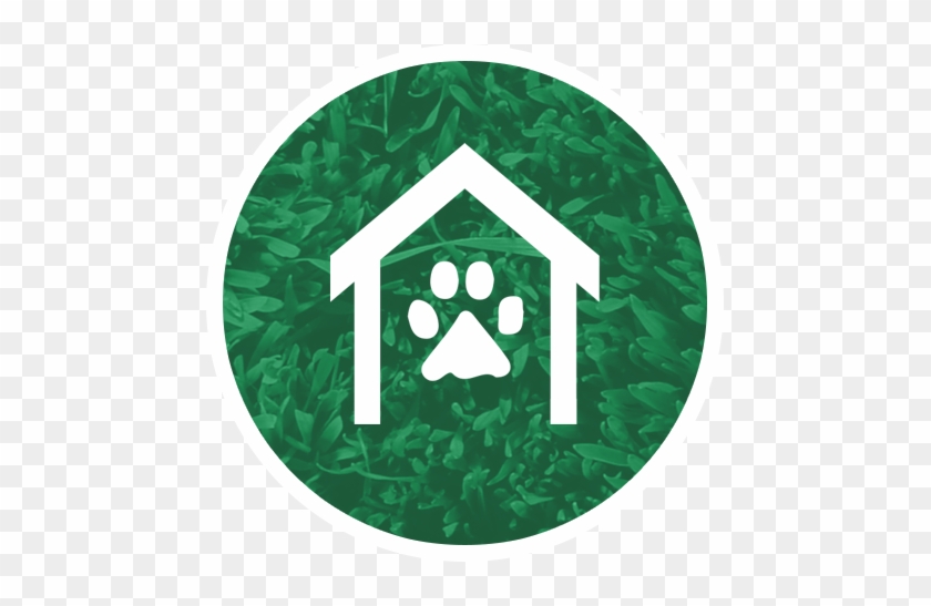 Bella Vista Animal Shelter - Partnership #1070134