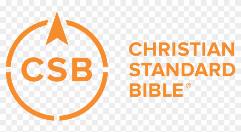 U - S - Edition - Csb Essential Teen Study Bible, Personal Size, Gray #1070310